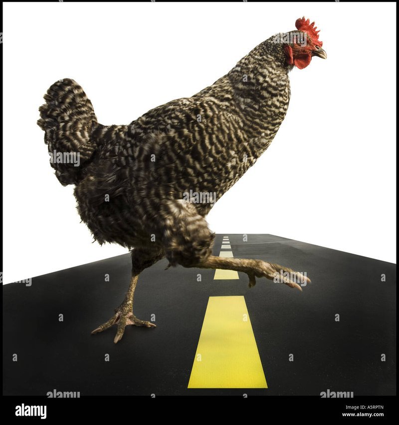 Image: Conoce el Juego de la Carretera del Pollo que está Revolviendo España